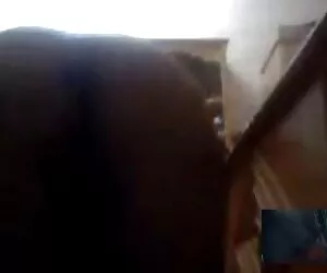 Ձիաուժ սեռական տեսանյութեր